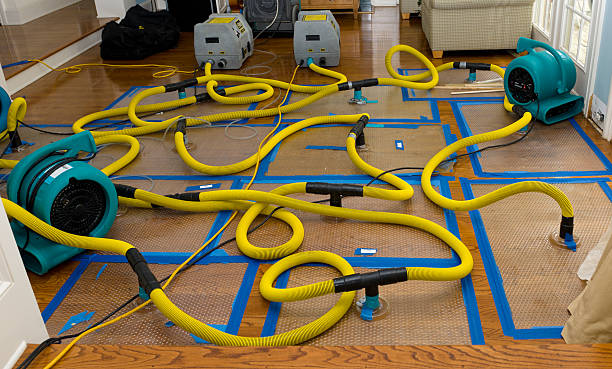 Professional Basement Flood Cleanup technician working in Plainview, NE